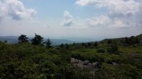 2015-06-10 11.00.32.jpg
