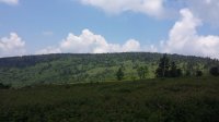 2015-06-10 12.59.31.jpg