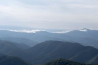 DSC01977.jpg