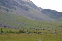 GNP 2015 100.JPG