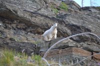 GNP 2015 129.JPG