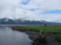 IMG_0429.JPG