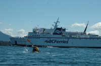 DSC_0713.JPG