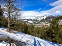 IMG_0306.jpg