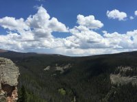 IMG_1545.jpg