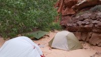 20160417_064456.jpg
