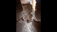 DSC02220.jpg