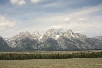 IMG_8550.JPG