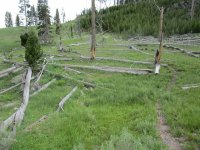 IMG_1452.JPG