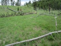 IMG_1454.JPG