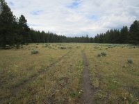 IMG_1481.JPG