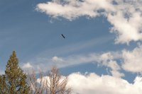 DSC_0114.jpg