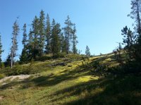20160808_103857.jpg