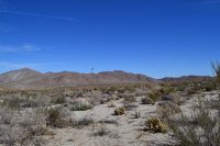 DSC_0484.JPG