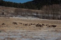 IMG_5565.jpg