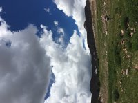 IMG_0918.JPG