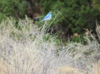 IMG_2979.JPG