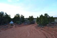 DSC_0328.JPG