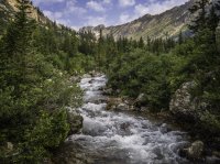 Teton2017-55.jpg