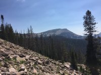 IMG_3665.JPG