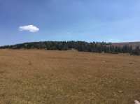 IMG_3674.JPG
