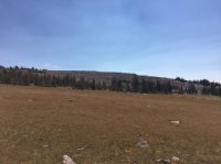 IMG_3675.JPG