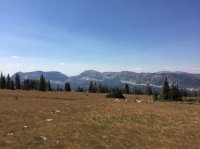 IMG_3676.JPG