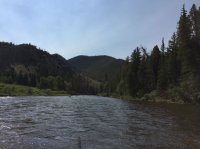 IMG_3400.JPG