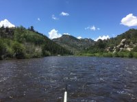 IMG_3461.JPG