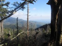 AT Trail.JPG