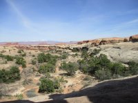 IMG_0096.JPG