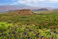 Southwest_003.JPG