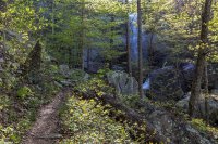 IMG_7649.jpg