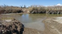 P1020598-high.jpg