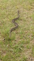 IMG_20180510_164652959.jpg