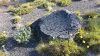 20180804_085158.jpg