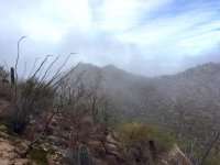 A-foggy-IMG_8971.jpg