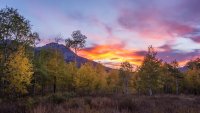 Ridge Autumn Leaves 9-20180570-noise.jpg