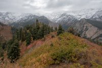 IMG_0691.jpg