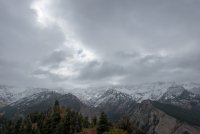 IMG_0692.jpg