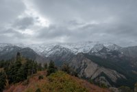 IMG_0694.jpg