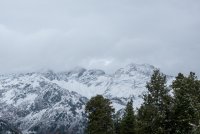 IMG_0705.jpg