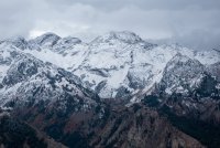 IMG_0709.jpg