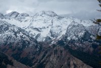 IMG_0710.jpg