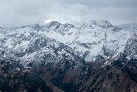 IMG_0711.jpg