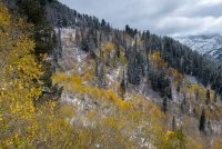 IMG_0713.jpg