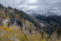 IMG_0714.jpg
