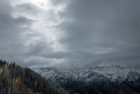 IMG_0715.jpg