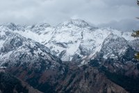 IMG_0718.jpg