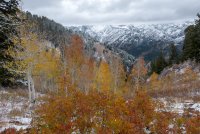 IMG_0727.jpg